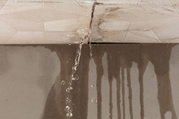 Professional Water Damage Repair technician working in Lafayette, OR
